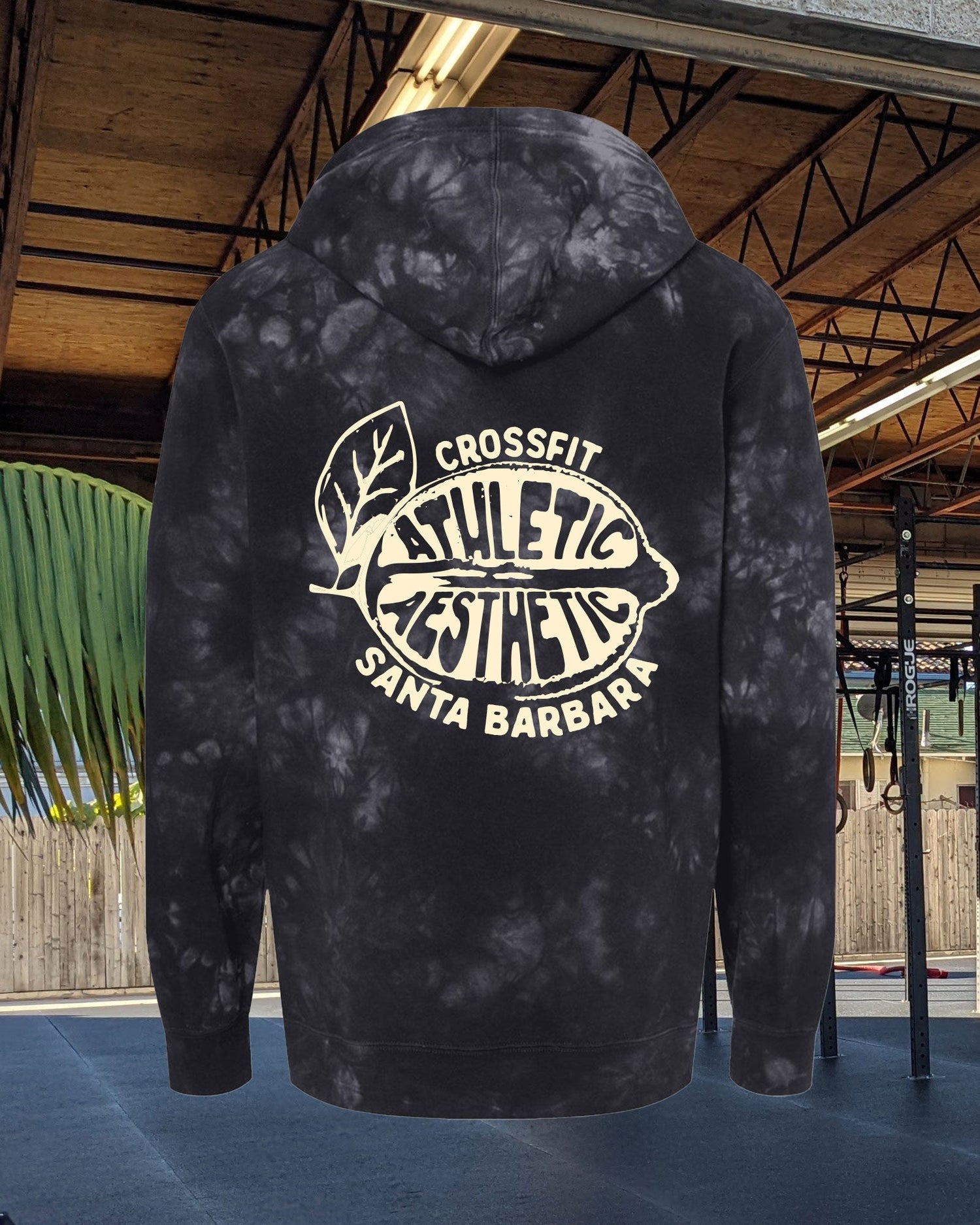 CFSB X Athletic Aesthetic