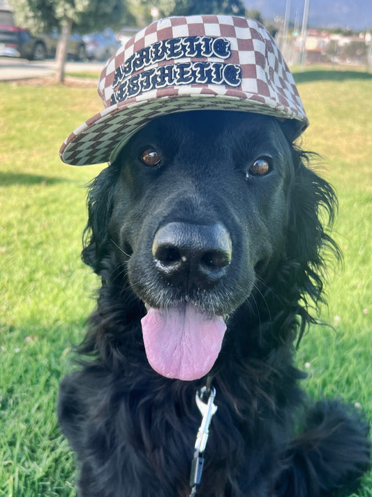 Gothic Check Hat