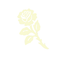 Women's