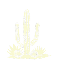 Cotton Blend